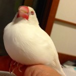 IMG_6646