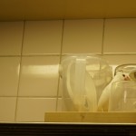 DSC05130